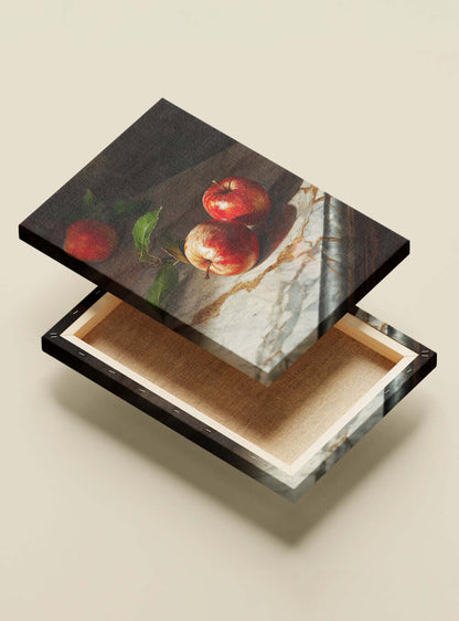 Unique Christian Art Gift: Stylish Temptation Still-Life Apple Canvas